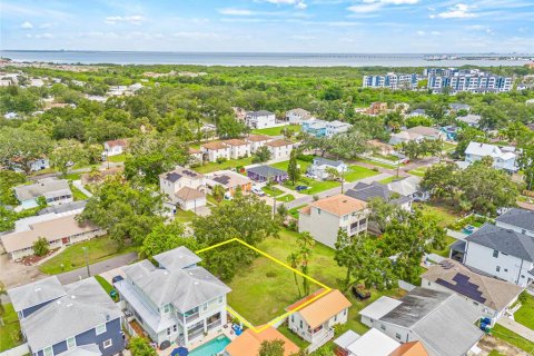 Land in Tampa, Florida № 1819408 - photo 1