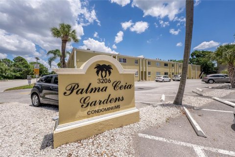 Condo in Tampa, Florida, 1 bedroom  № 2111343