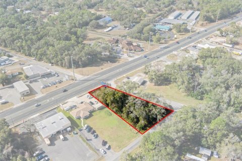 Land in Inverness, Florida № 1559879 - photo 4
