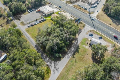 Land in Inverness, Florida № 1559879 - photo 9