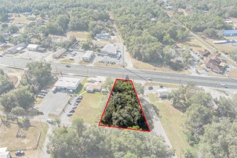 Land in Inverness, Florida № 1559879 - photo 3