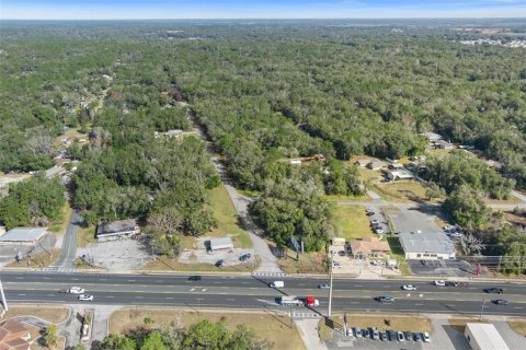 Land in Inverness, Florida № 1559879 - photo 17