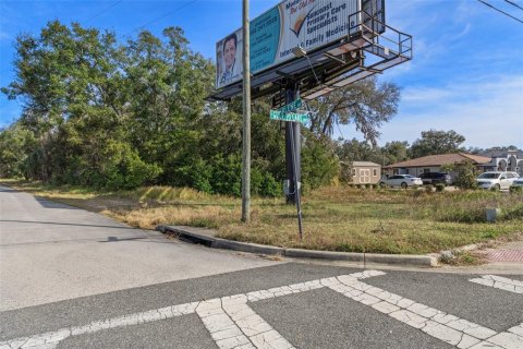 Land in Inverness, Florida № 1559879 - photo 21