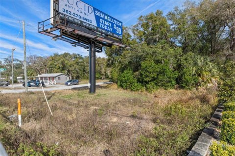 Land in Inverness, Florida № 1559879 - photo 23