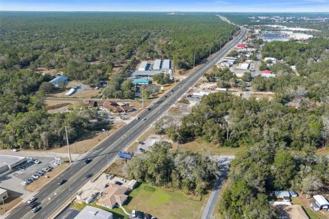 Land in Inverness, Florida № 1559879 - photo 14