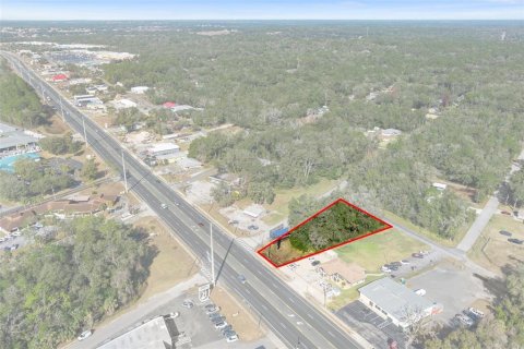 Land in Inverness, Florida № 1559879 - photo 5