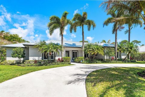 Villa ou maison à vendre à Jupiter, Floride: 4 chambres, 301.28 m2 № 2085183 - photo 2