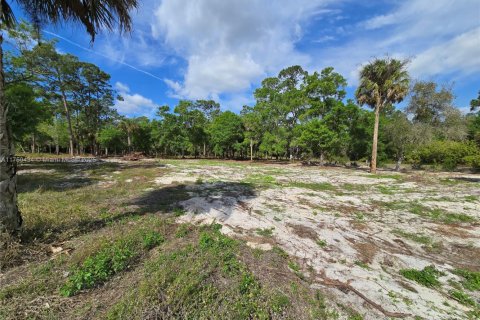 Immobilier commercial à vendre à Clewiston, Floride № 1985204 - photo 6