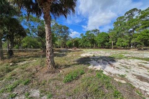 Immobilier commercial à vendre à Clewiston, Floride № 1985204 - photo 7