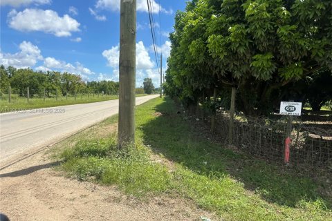 Immobilier commercial à vendre à Homestead, Floride № 2058366 - photo 5