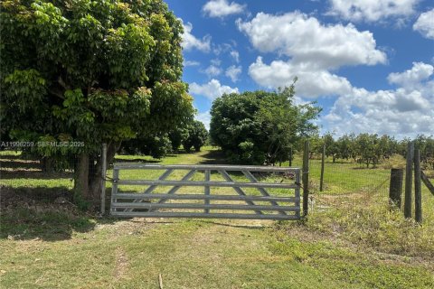 Immobilier commercial à vendre à Homestead, Floride № 2058366 - photo 2