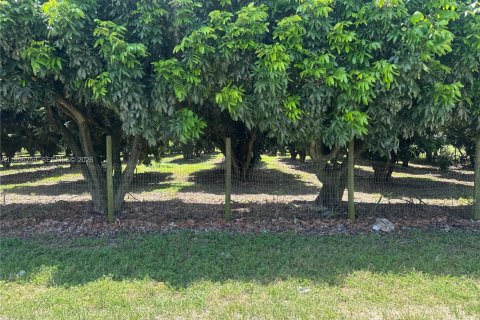 Immobilier commercial à vendre à Homestead, Floride № 2058366 - photo 6