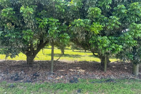 Immobilier commercial à vendre à Homestead, Floride № 2058366 - photo 11