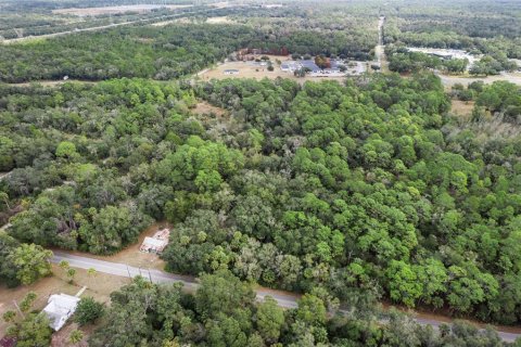 Land in Crystal River, Florida № 2119484 - photo 15