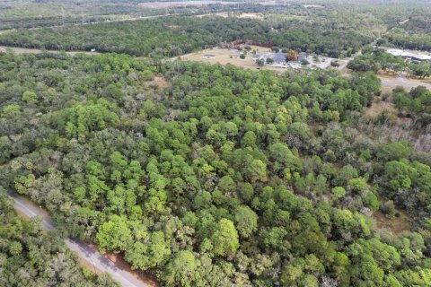Land in Crystal River, Florida № 2119484 - photo 16