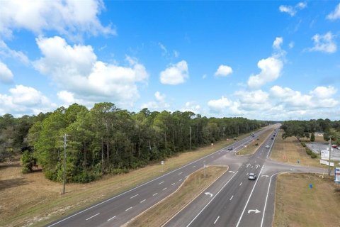 Land in Crystal River, Florida № 2119484 - photo 20