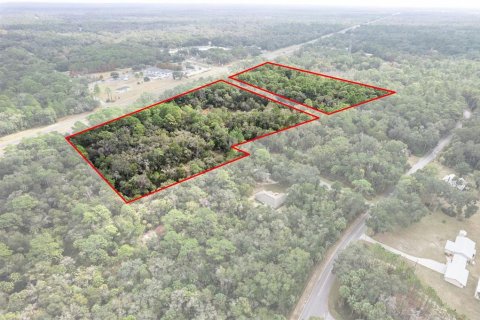 Land in Crystal River, Florida № 2119484 - photo 4