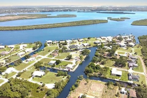 Land in Punta Gorda, Florida № 1647741 - photo 11