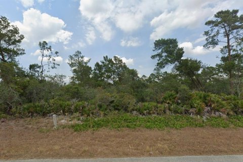 Land in Sebring, Florida № 2161083
