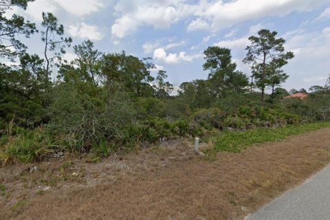 Land in Sebring, Florida № 2161083 - photo 4
