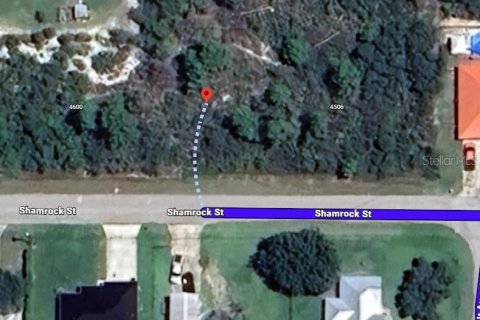 Land in Sebring, Florida № 2161083 - photo 2