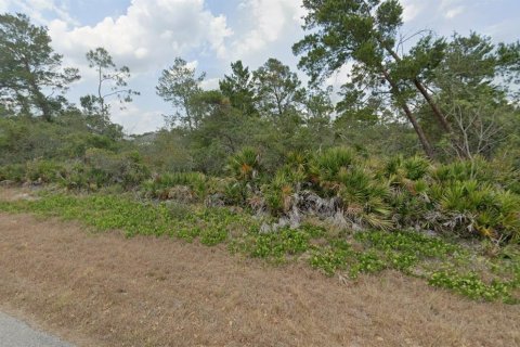Land in Sebring, Florida № 2161083 - photo 5