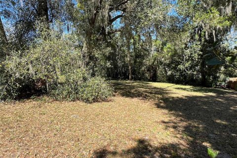 Terrain à vendre à Mount Dora, Floride № 1761137 - photo 3