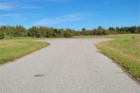 Land in Rotonda, Florida № 1565973 - photo 10