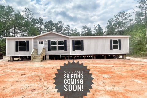 Villa ou maison à De Funiak Springs, Floride 4 chambres, 156.08 m2 № 561883