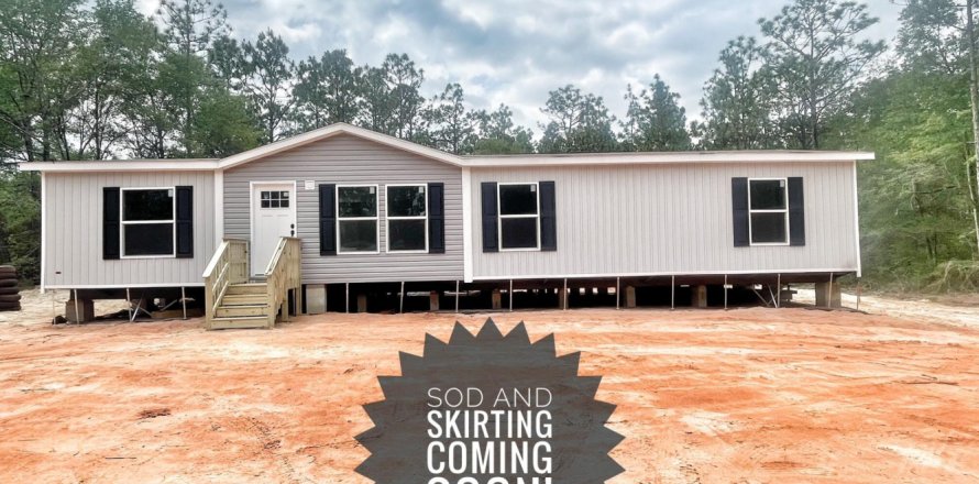 Villa ou maison à De Funiak Springs, Floride 4 chambres, 156.08 m2 № 561883