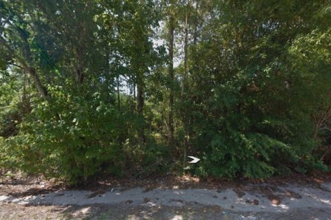 Land in Sebring, Florida № 2158502 - photo 5