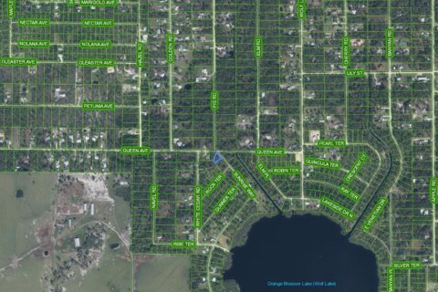 Land in Sebring, Florida № 2158502 - photo 3