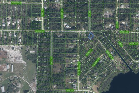 Land in Sebring, Florida № 2158502 - photo 2