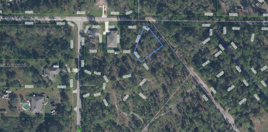 Land in Sebring, Florida № 2158502
