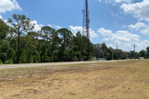 Terreno en venta en Davenport, Florida № 1190901 - foto 7