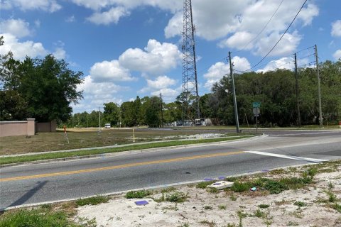 Land in Davenport, Florida № 1190901 - photo 2