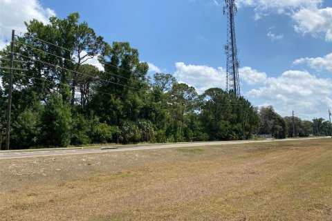 Land in Davenport, Florida № 1190901 - photo 6