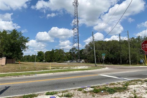 Land in Davenport, Florida № 1190901 - photo 3