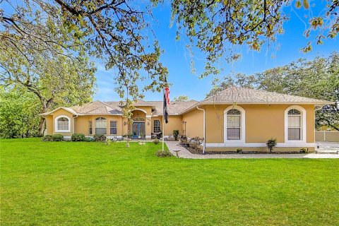House in Weeki Wachee, Florida 5 bedrooms, 306.21 sq.m. № 2222640