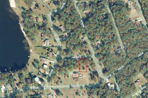 Terreno en venta en Ocklawaha, Florida № 2205101 - foto 4