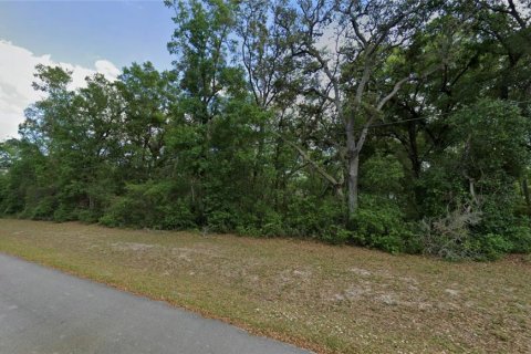 Terreno en Ocklawaha, Florida № 2205101