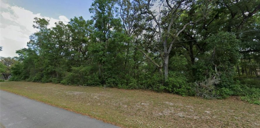 Terreno en Ocklawaha, Florida № 2205101
