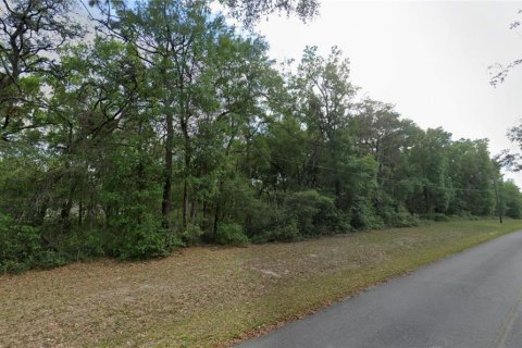 Terreno en venta en Ocklawaha, Florida № 2205101 - foto 2