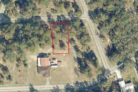 Terreno en venta en Ocklawaha, Florida № 2205101 - foto 3