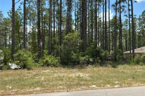 Land in Ocala, Florida № 1561267 - photo 2
