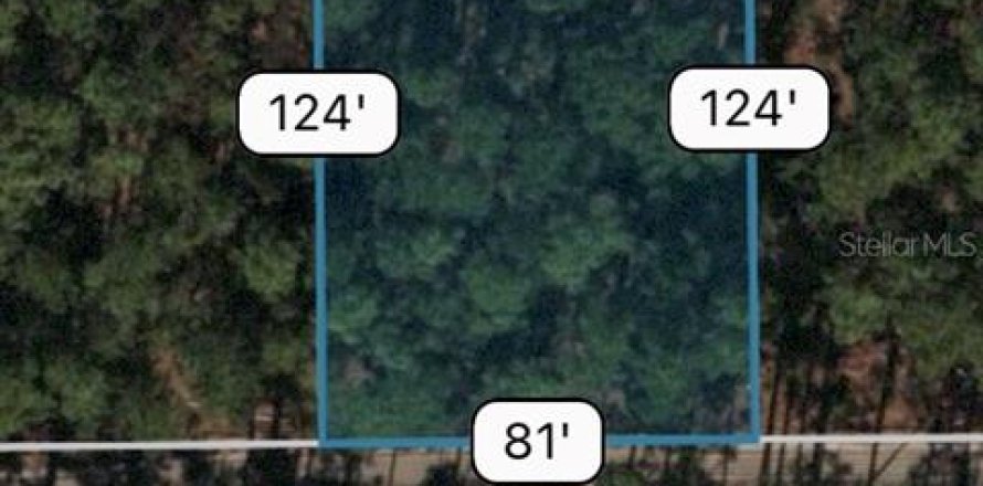 Land in Ocala, Florida № 1561267