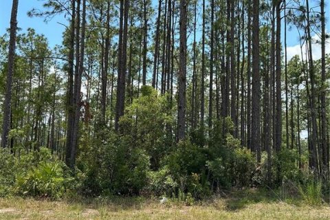Land in Ocala, Florida № 1561267 - photo 4
