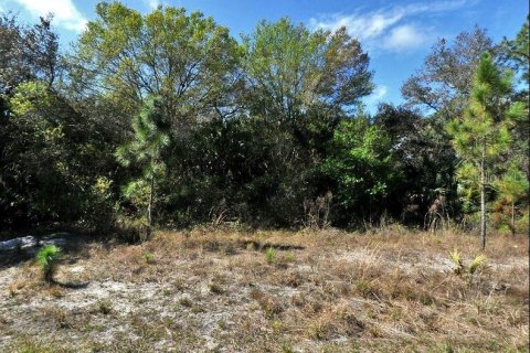 Land in North Port, Florida № 2164884 - photo 2