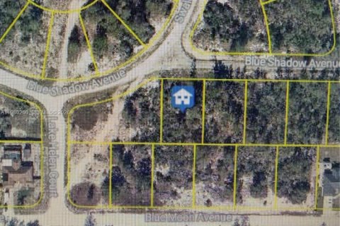 Immobilier commercial à Lake Placid, Floride № 2158599
