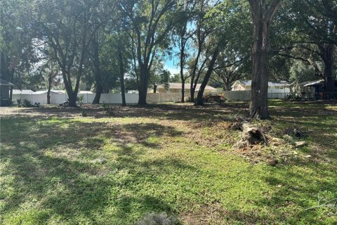 Land in Ocklawaha, Florida № 2380448 - photo 3